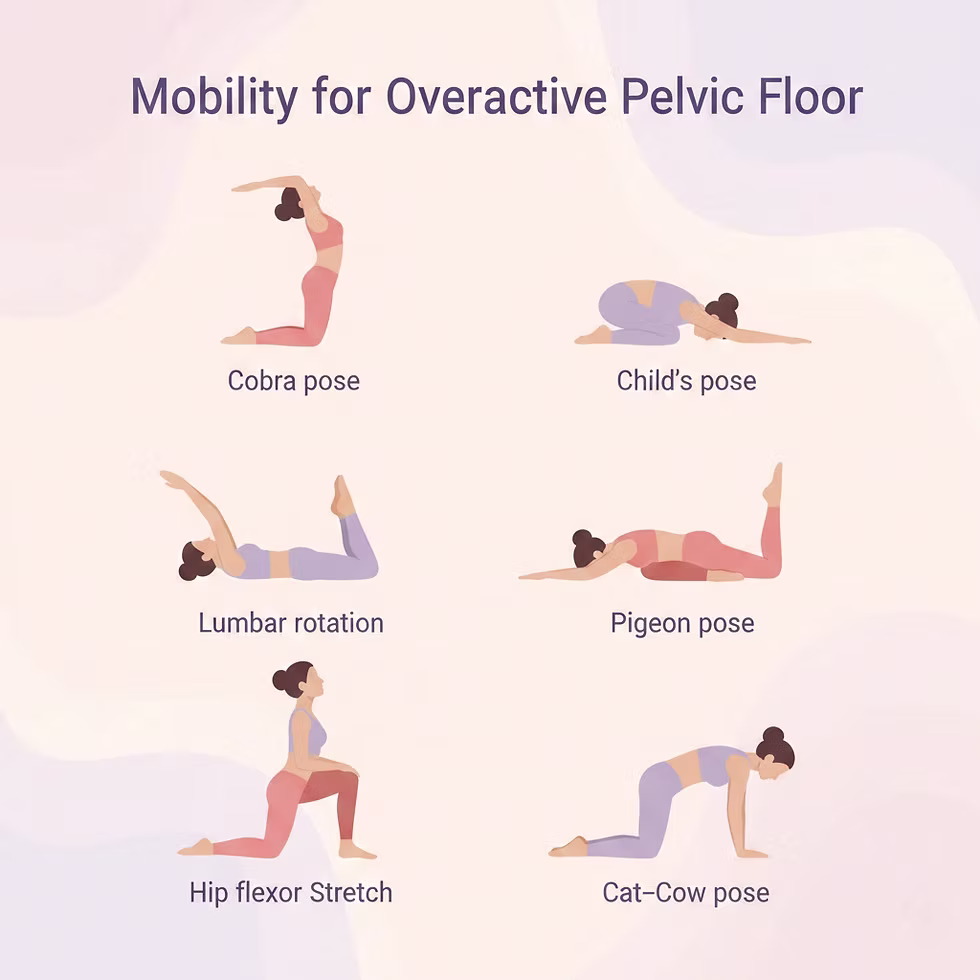 Pelvic Floor Disease Therapy